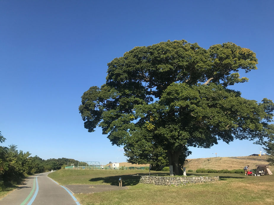 癒される風景でした。