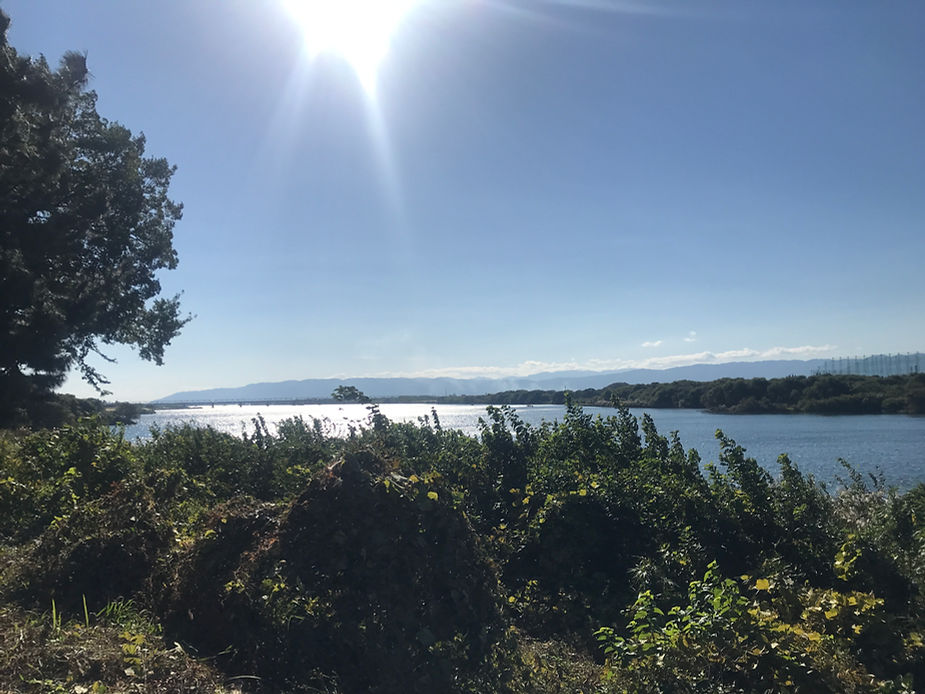 公園は、木曽川沿いにあります。