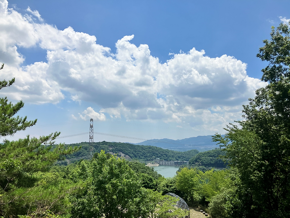 緑の中、一庫ダムと湖が遠くに見える。空は青く白い雲が浮かぶ