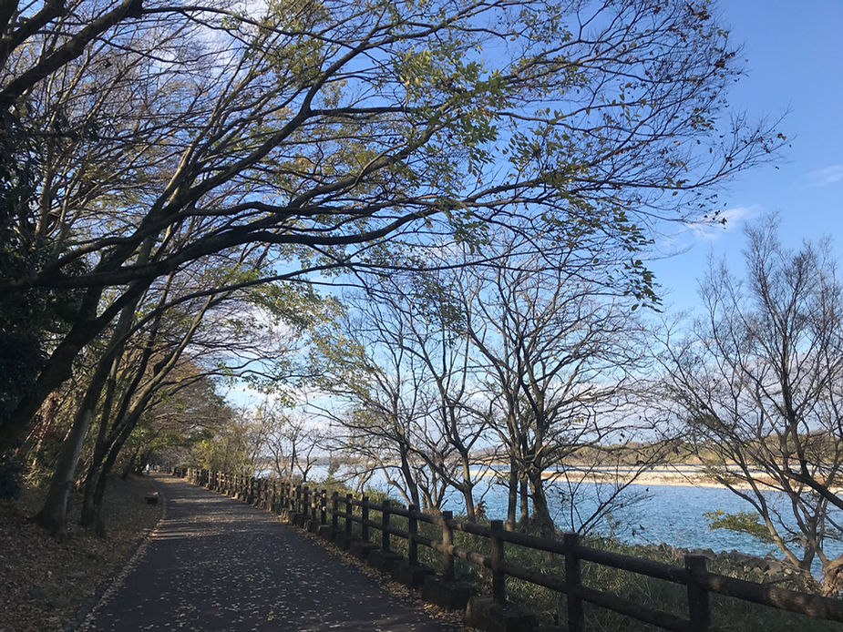 歩道がきれいに整備されていて、気持ちよくウォーキングができた