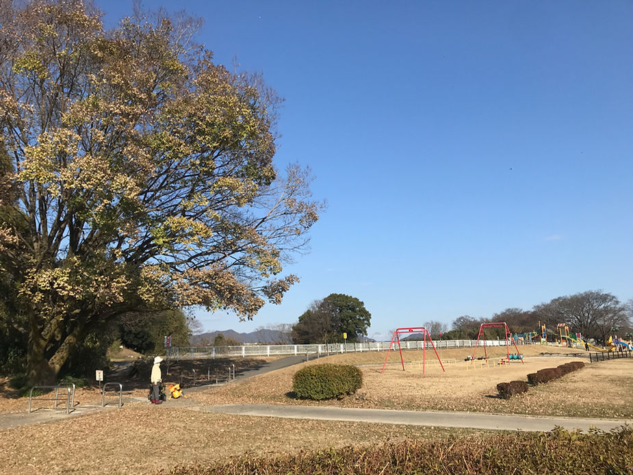 公園ののどかな風景