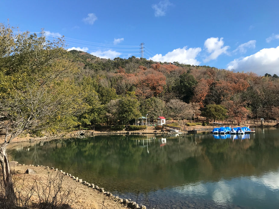 園内の大久手池