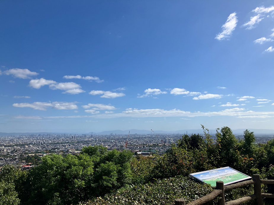 前方に大阪、兵庫の市街地と大阪湾が広がる風景