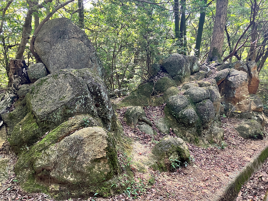 昔の石材場あとの石。大きな石がたくさんある