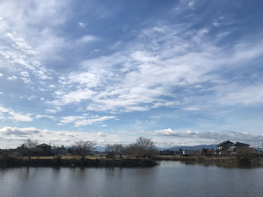 ウォーキングコースの風景