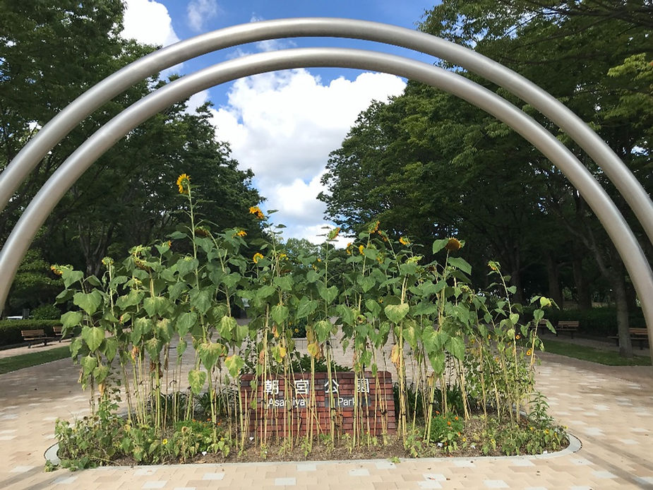 近所の朝宮公園は、公園アワードとPOTAの対象地