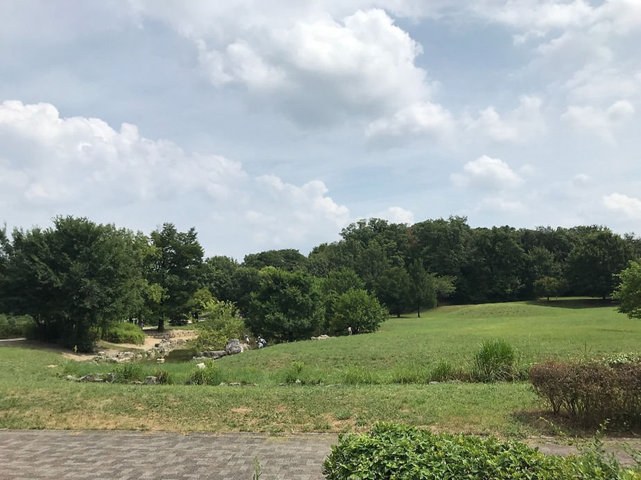 広くて気持ちのいい公園です