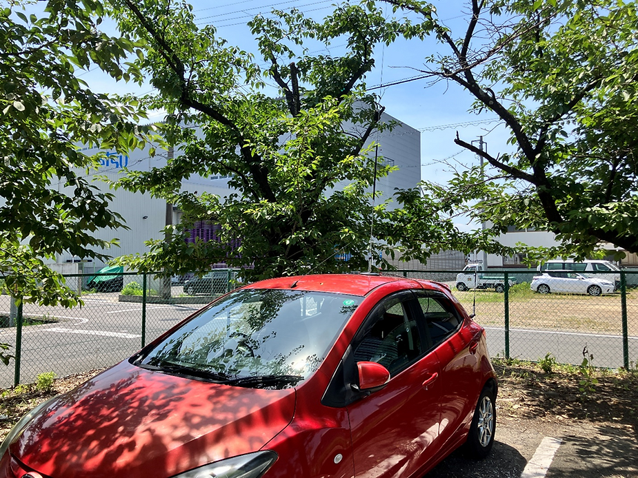 木陰に停めた移動運用の自家用車