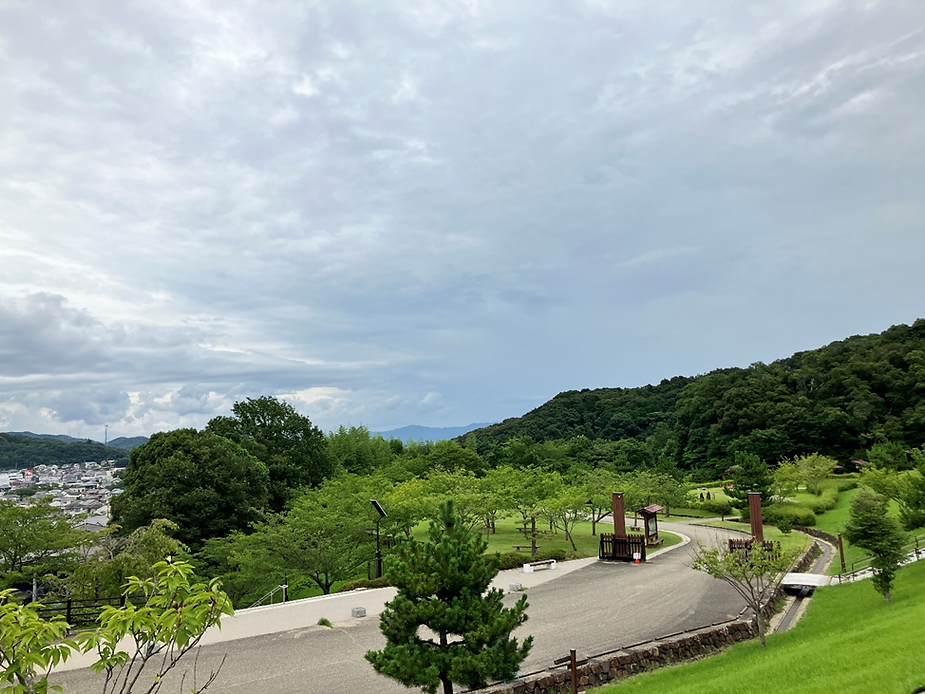 公園から見た景色で、公園と市街地が写っている